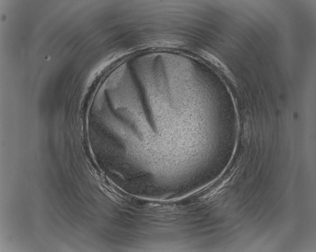 X0000065251027200603031758