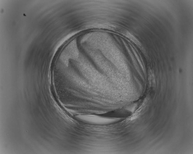 X0000065251028200603031758