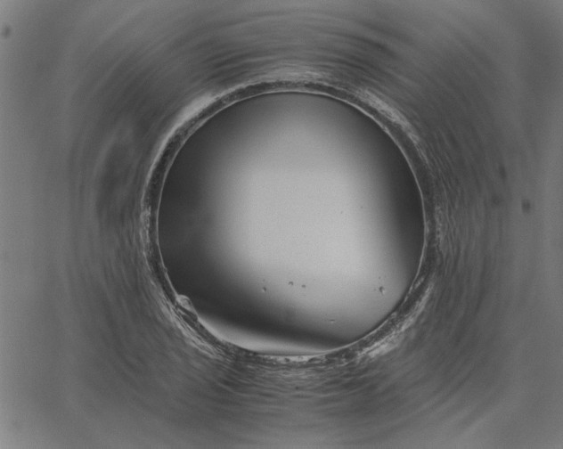 X0000065251029200603031758