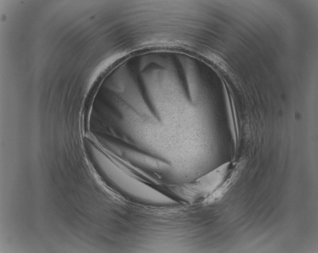 X0000065251030200603031758