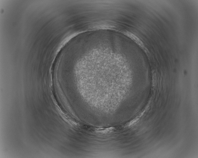 X0000065251031200603031758