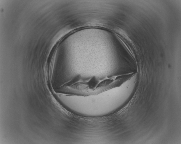 X0000065251032200603031758