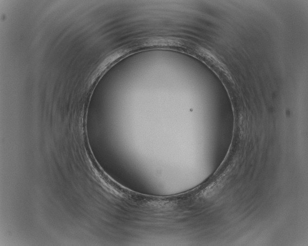 X0000065251033200603031758