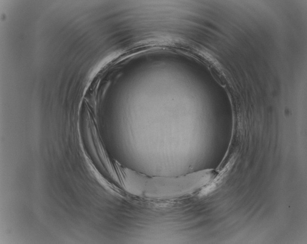 X0000065251034200603031758