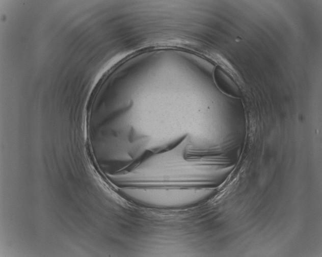 X0000065251036200603031758