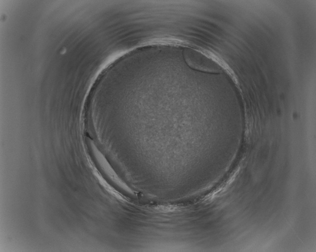 X0000065251037200603031758