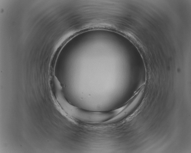 X0000065251038200603031758