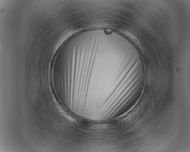 X0000065251039200603031758