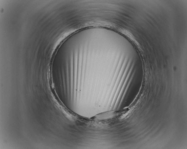 X0000065251040200603031758