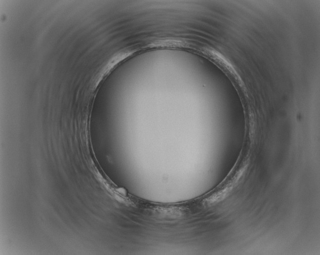 X0000065251041200603031758