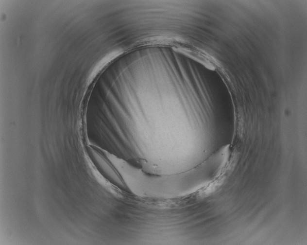 X0000065251042200603031758