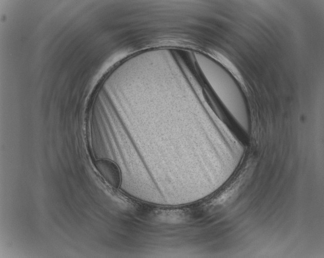 X0000065251043200603031758