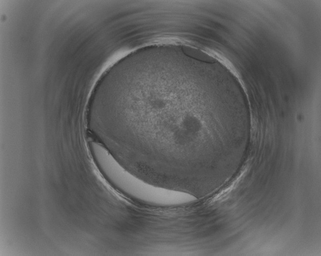 X0000065251045200603031758