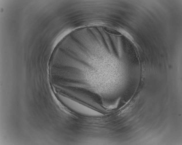 X0000065251047200603031758