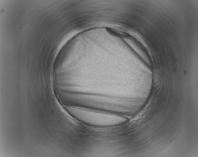 X0000065251048200603031758