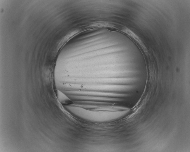 X0000065251049200603031759