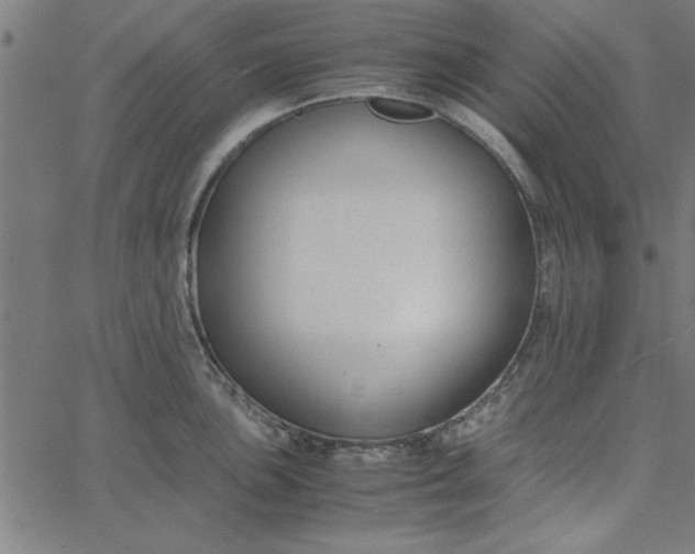 X0000065251051200603031759