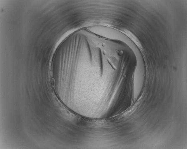 X0000065251052200603031759