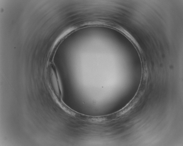 X0000065251053200603031759