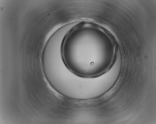 X0000065251054200603031759