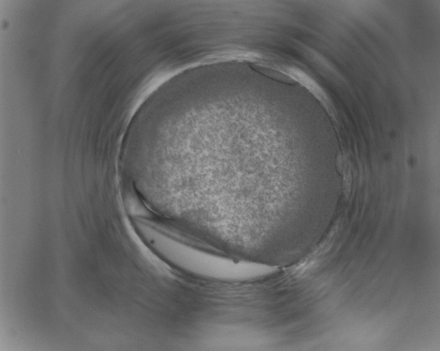 X0000065251055200603031759