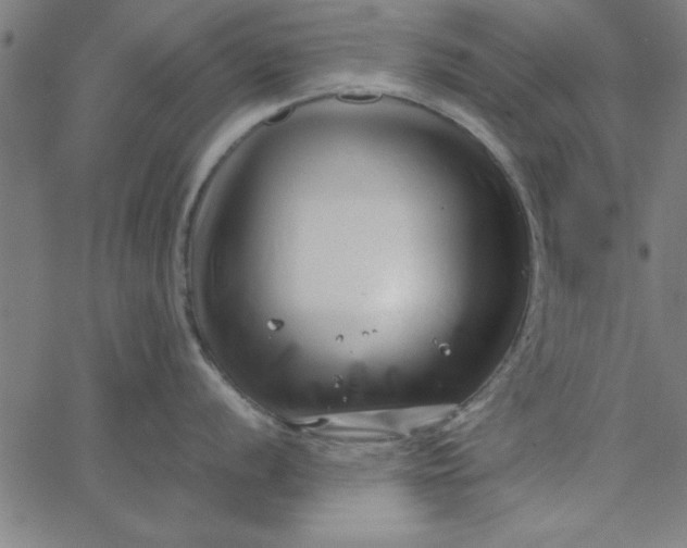 X0000065251056200603031759