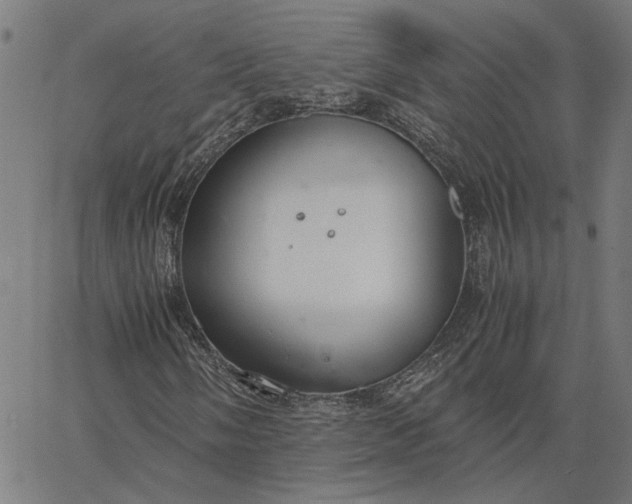 X0000065251058200603031758