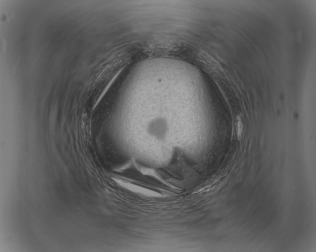 X0000065251059200603031758