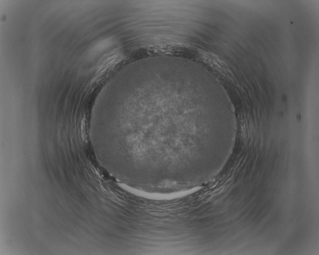 X0000065251060200603031758