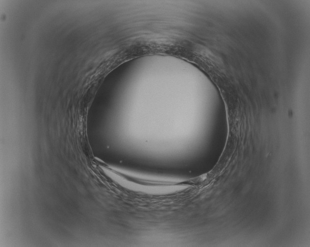 X0000065251061200603031758