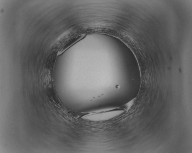 X0000065251062200603031758