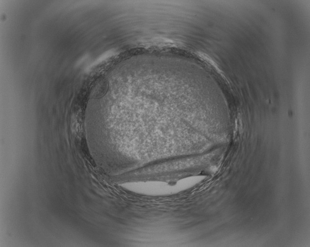 X0000065251063200603031758