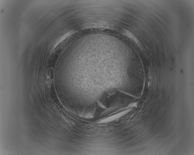 X0000065251064200603031758