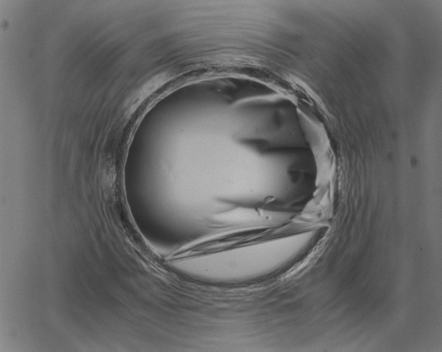 X0000065251065200603031758