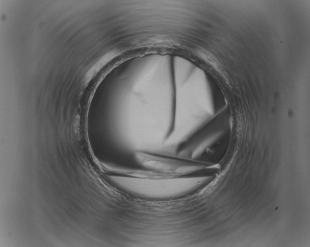 X0000065251066200603031758