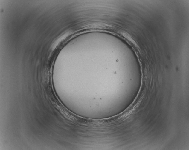 X0000065251067200603031758