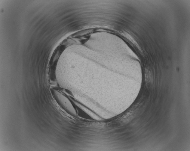 X0000065251068200603031758