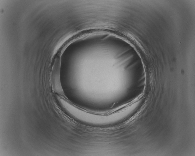 X0000065251069200603031758