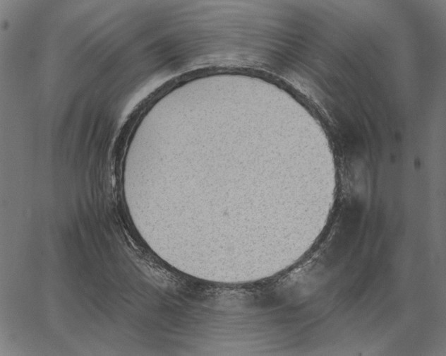 X0000065251070200603031758