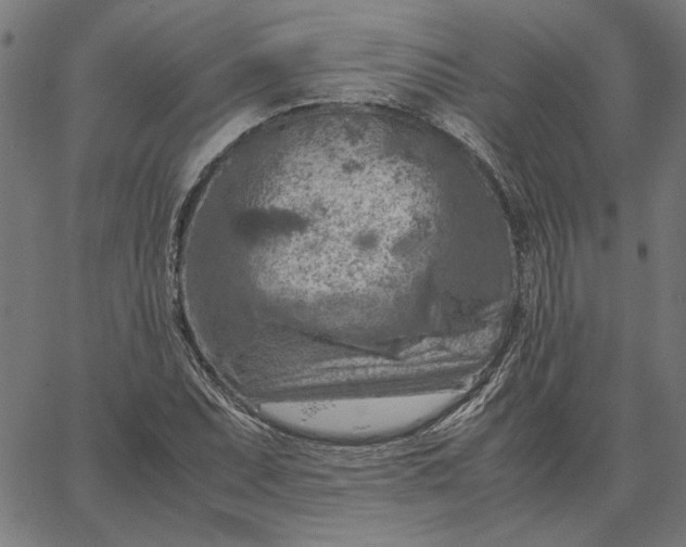 X0000065251071200603031758