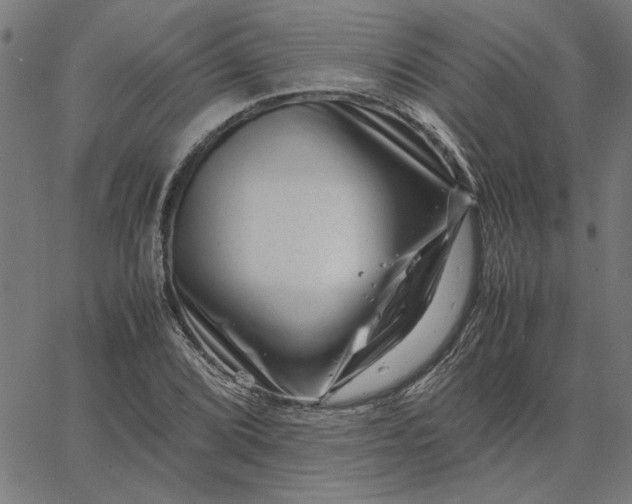 X0000065251072200603031758