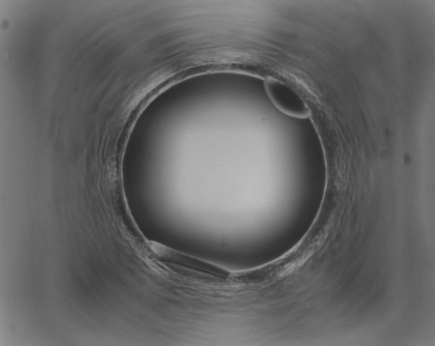 X0000065251073200603031758