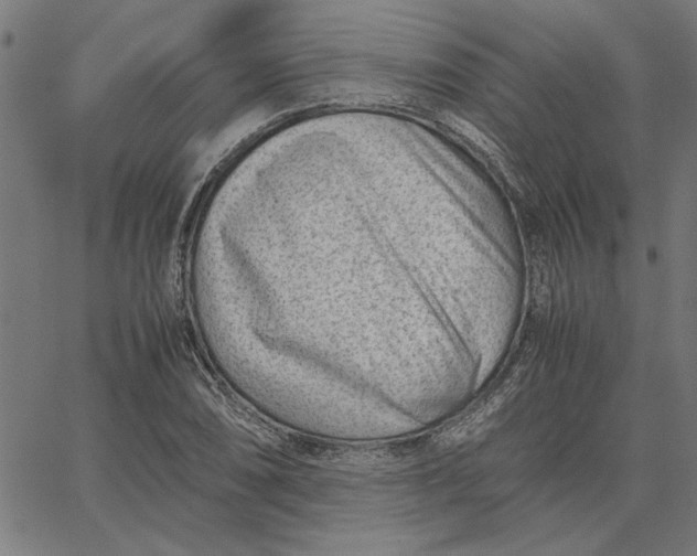 X0000065251074200603031758