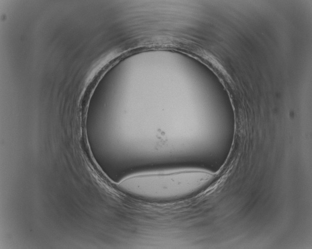 X0000065251075200603031758