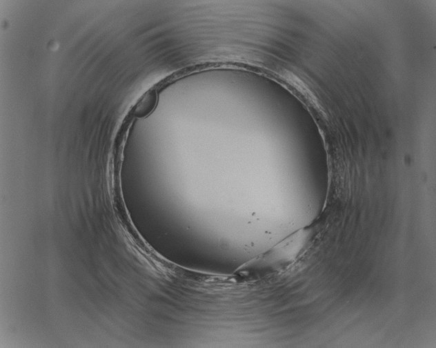 X0000065251076200603031758