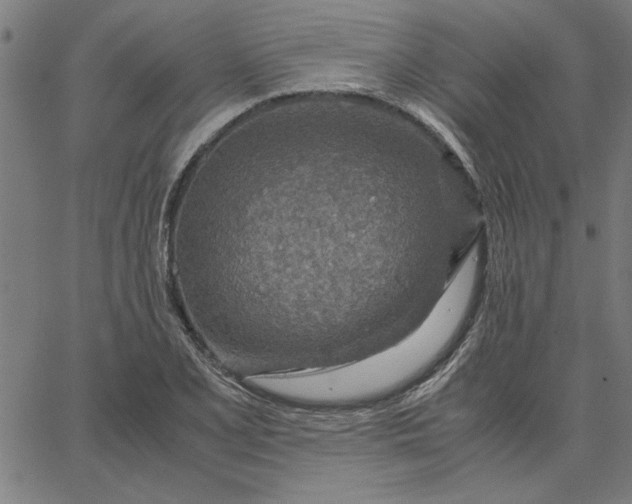 X0000065251077200603031758