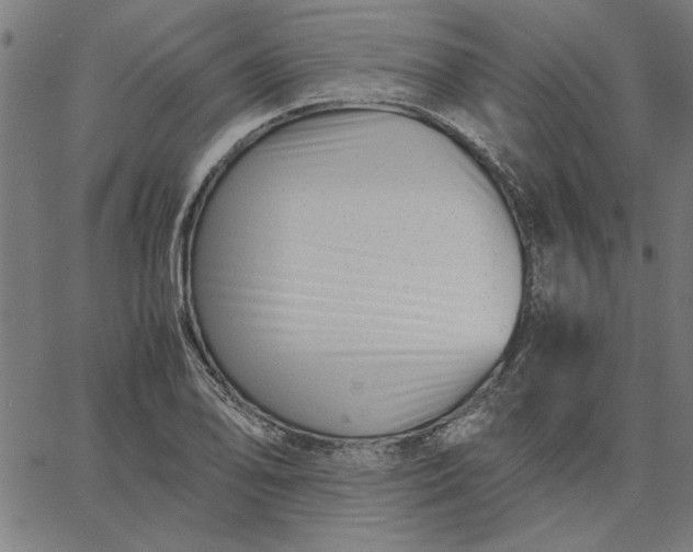 X0000065251078200603031758