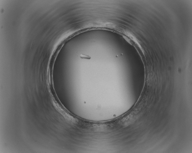 X0000065251080200603031757