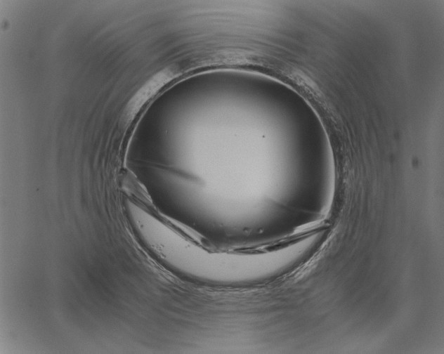 X0000065251081200603031757