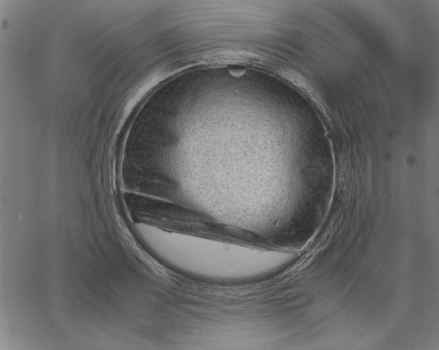 X0000065251083200603031757